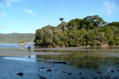 South Sea Hotel - Stewart Island Half-moon Bay Kültér fotó